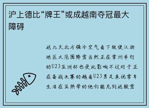 沪上德比“牌王”或成越南夺冠最大障碍
